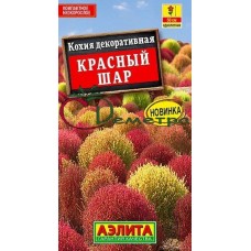 Кохия Красный шар