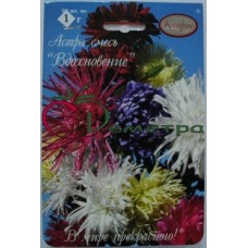 Астра Вдохновение смесь