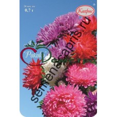 Астра Рококо смесь