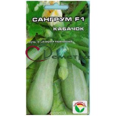 Кабачок Сангрум