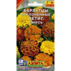 Бархатцы Петит отклонен.