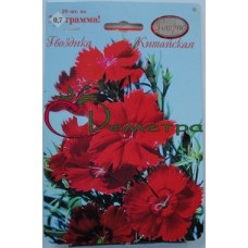 Гвоздика Китайская Танец гейши