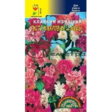 Кларкия густомахровая смесь