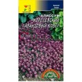 Алиссум Королевский Лавандовый ковер