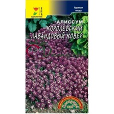 Алиссум Королевский Лавандовый ковер