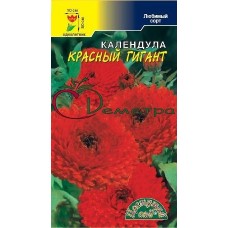 Календула Красный гигант