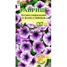 Петуния Волна сливовая ( МИНИТУНИЯ) суперкаскадная