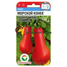 Томат Морской конек