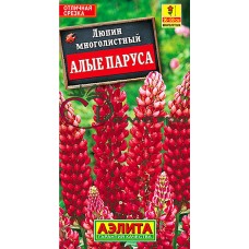 Люпин Алые Паруса