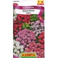 Маргаритка Монстроза смесь